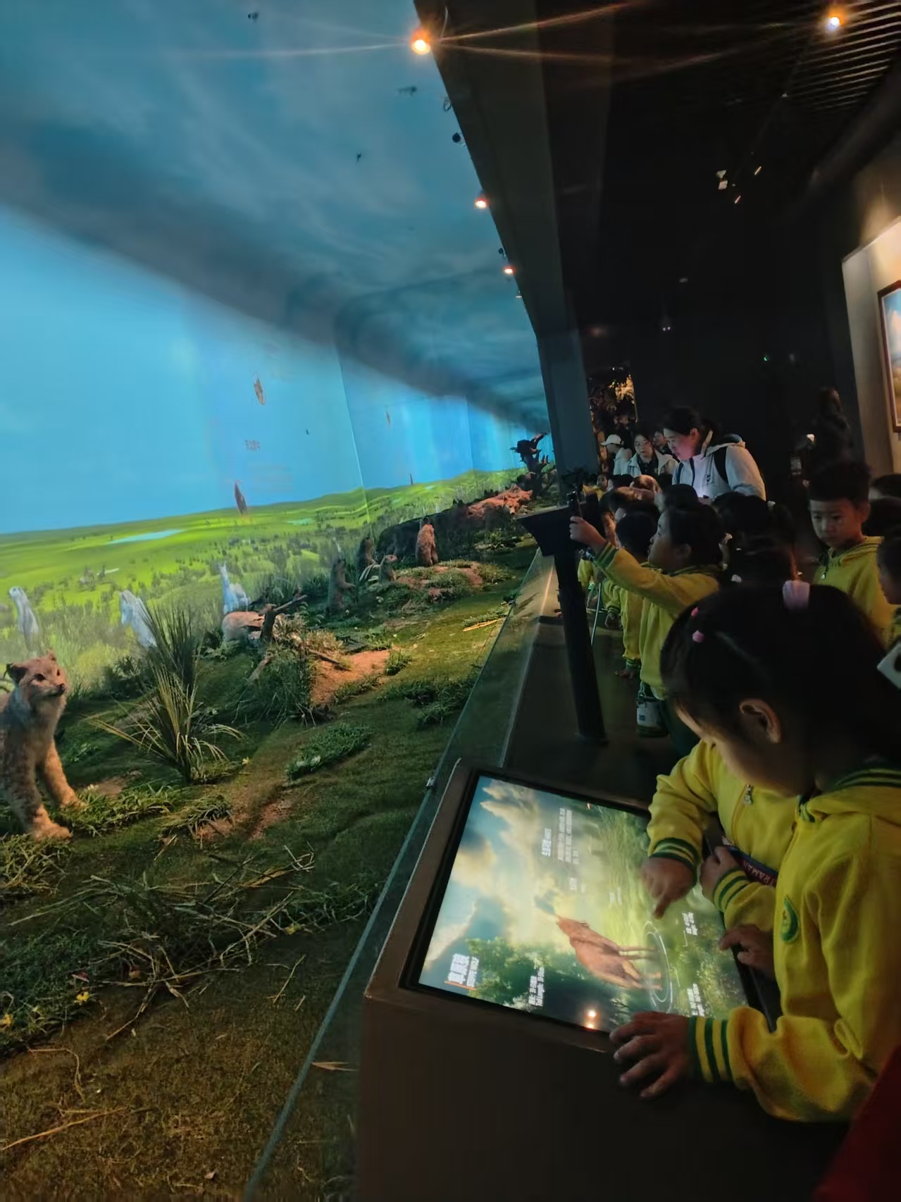 微信图片_20260922113447.jpg